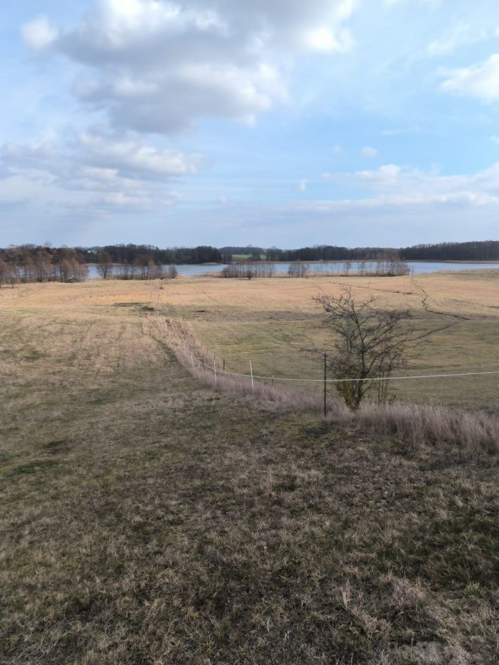 Działka rolna Marcinowa Wola. Zdjęcie 4