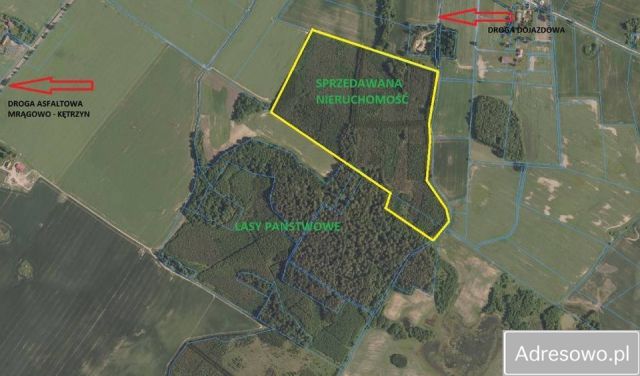 Działka leśna Pręgowo. Zdjęcie 1