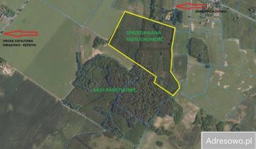 Działka leśna Pręgowo