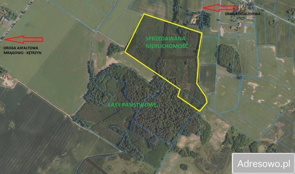 Działka leśna Pręgowo