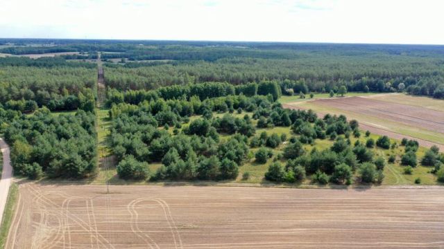 Działka rolna Osetno. Zdjęcie 14