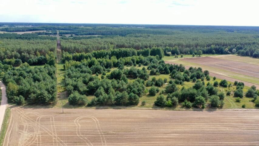 Działka rolna Osetno. Zdjęcie 14