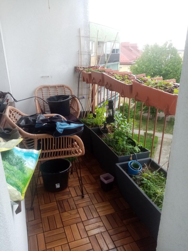 Mieszkanie 3-pokojowe Jelcz-Laskowice Centrum, ul. Ludwika Hirszfelda. Zdjęcie 17