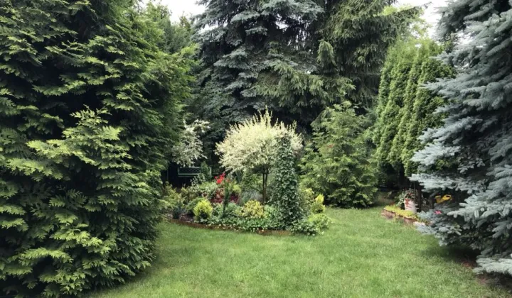 Działka rod Warszawa Mokotów, ul. Żwirki i Wigury