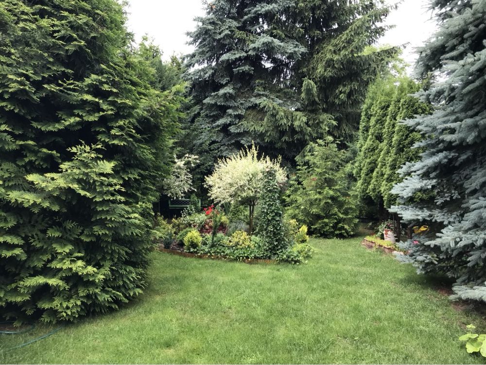 Działka rod Warszawa Mokotów, ul. Żwirki i Wigury