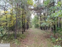 Działka budowlana Piaski. Zdjęcie 3