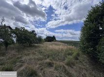 dom wolnostojący, 6 pokoi Wieluń. Zdjęcie 4