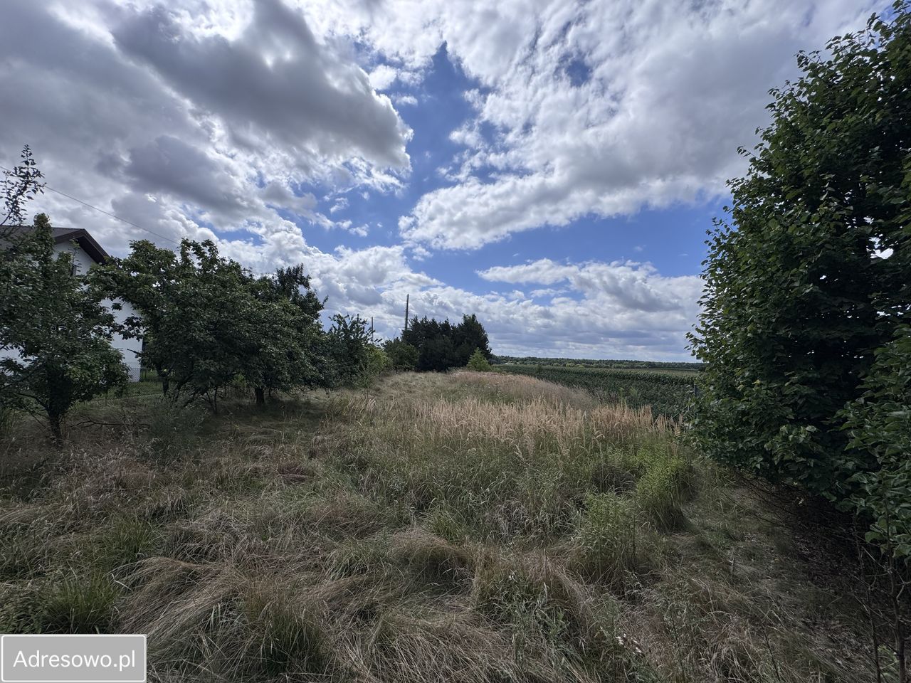 dom wolnostojący, 6 pokoi Wieluń. Zdjęcie 5