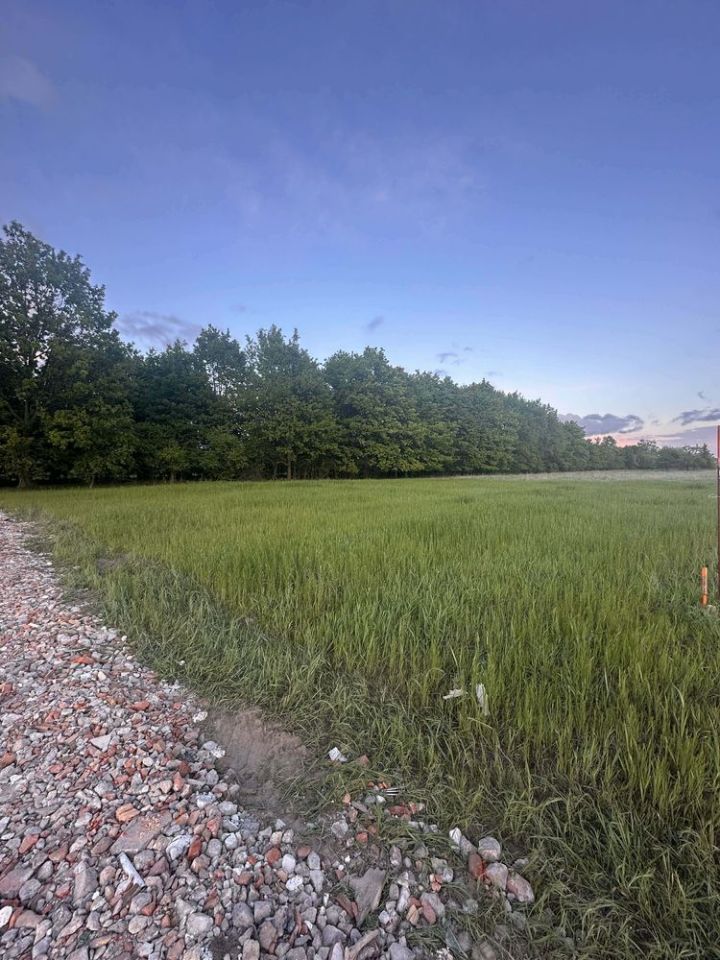 Działka budowlana Dobiesz. Zdjęcie 4