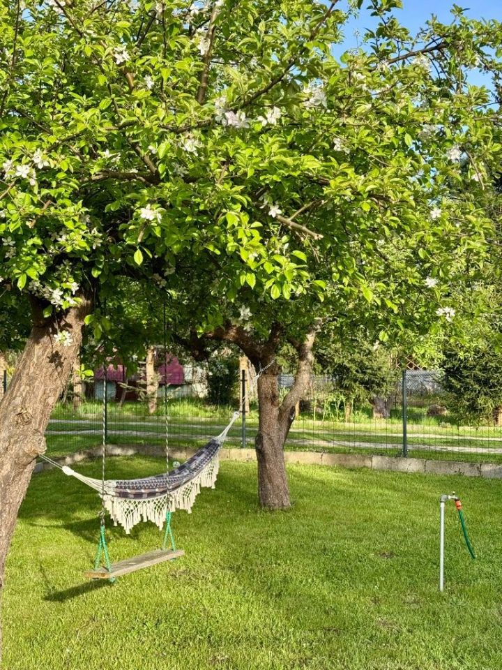 Działka rod Elbląg, ul. Skrzydlata. Zdjęcie 2