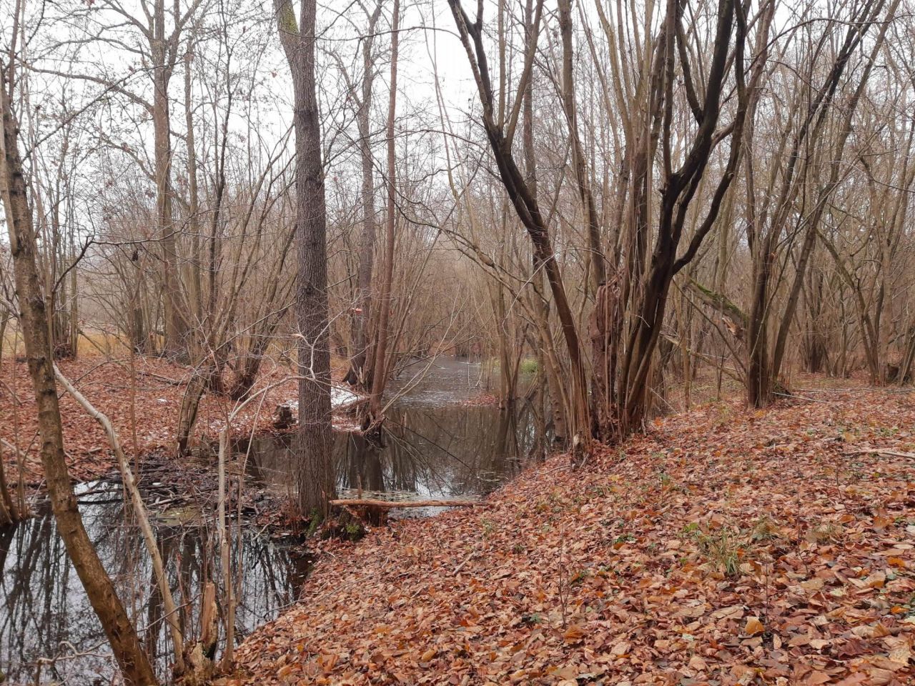 Działka budowlana Gronów. Zdjęcie 15