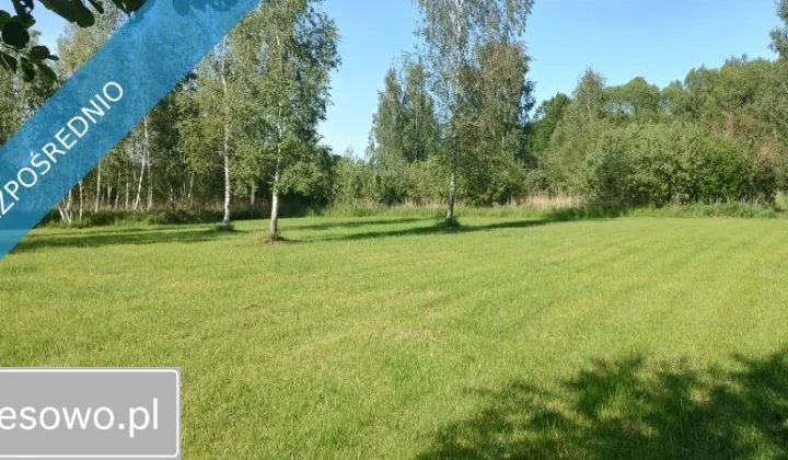 Działka rolna Szczechy Małe