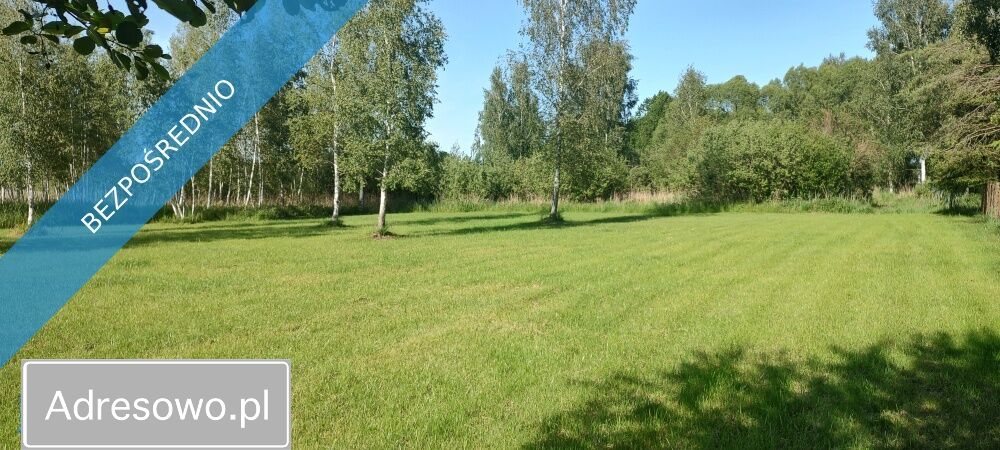 Działka rolna Szczechy Małe. Zdjęcie 1