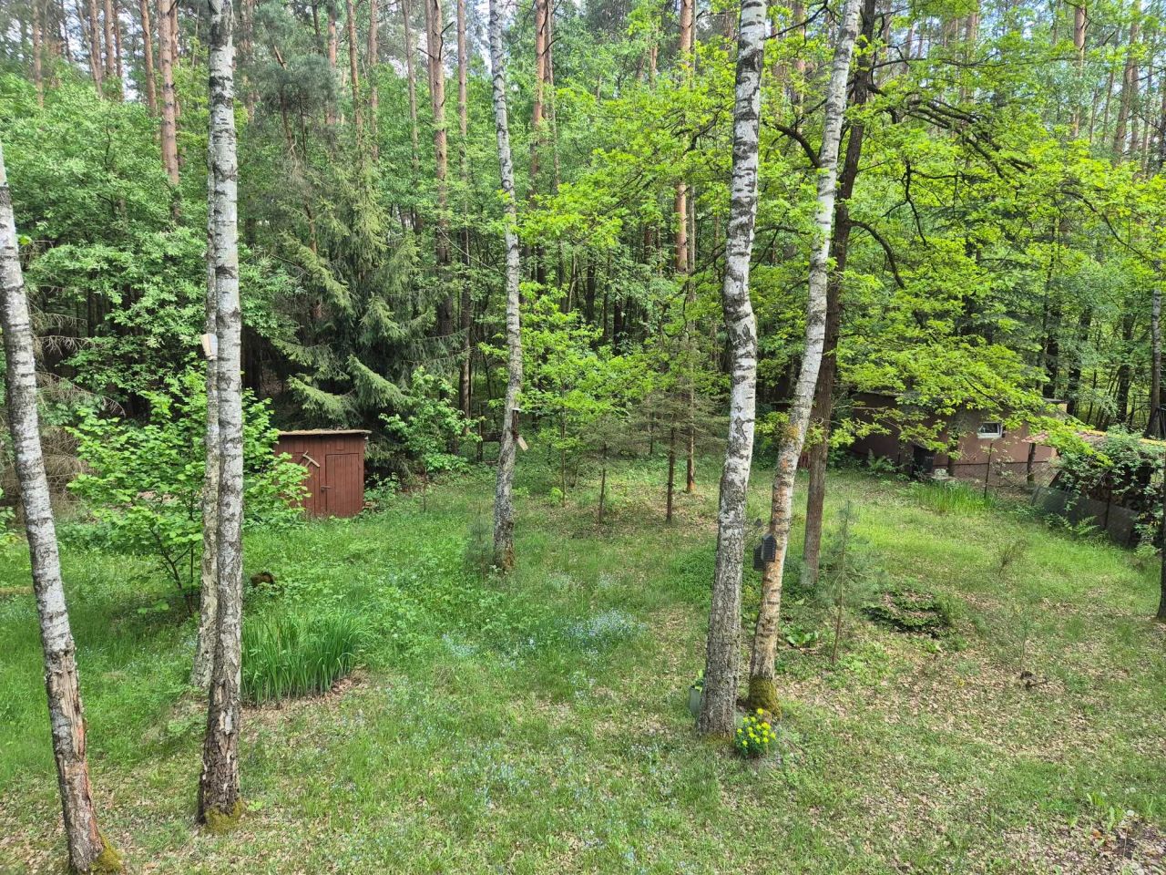 Działka rekreacyjna Dobków. Zdjęcie 3