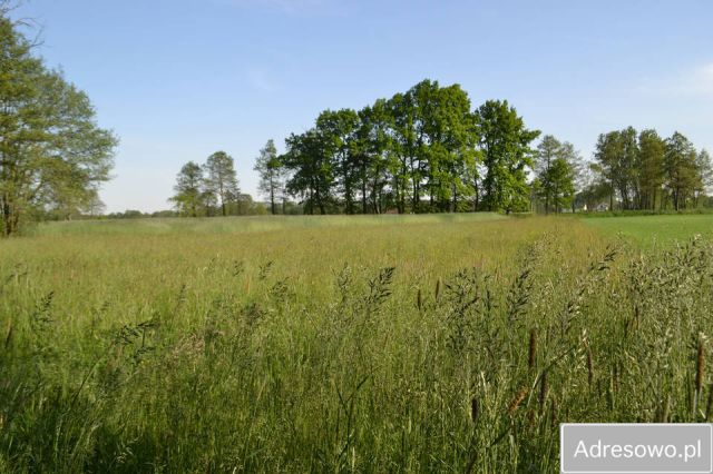 Działka budowlana Brzozówka. Zdjęcie 1