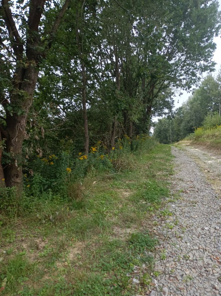 dom wolnostojący, 3 pokoje Tułkowice Środek. Zdjęcie 10