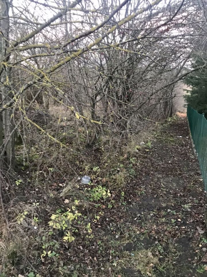 Działka rolno-budowlana Sucholaski. Zdjęcie 2