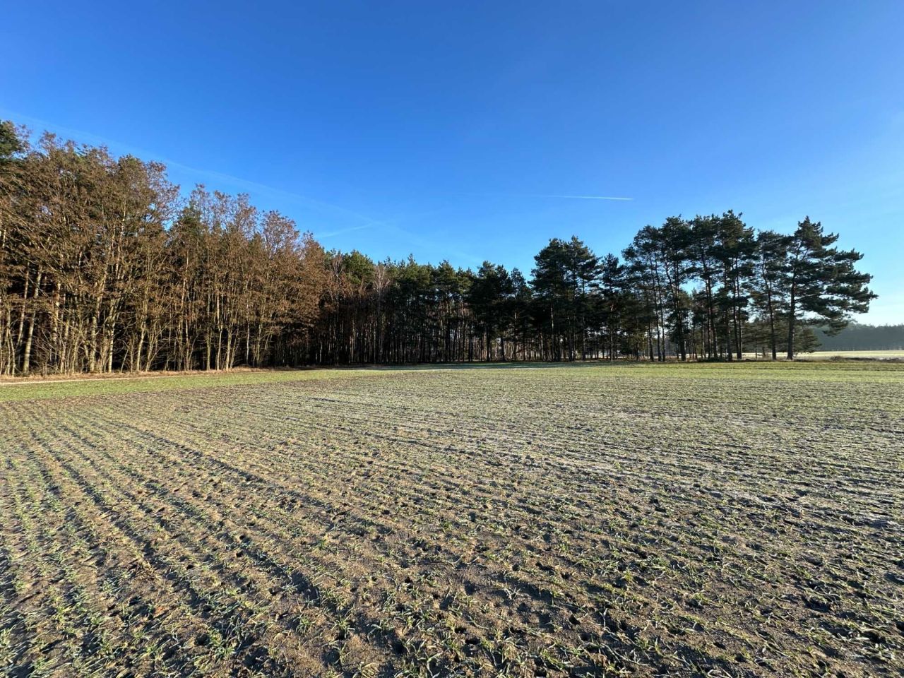 Działka budowlana Jabłonna, ul. Piaskowa. Zdjęcie 7