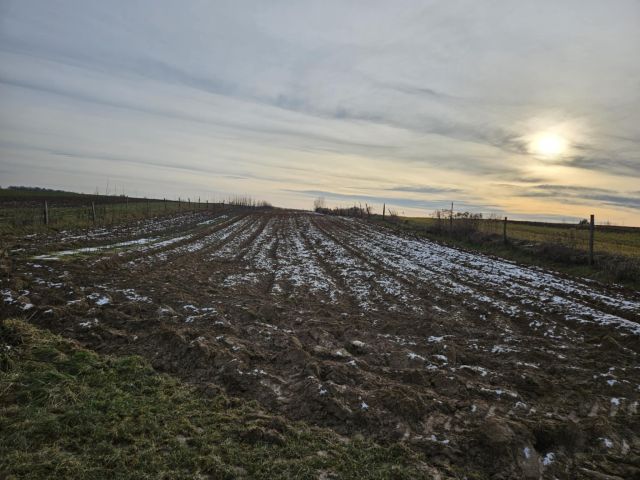 Działka rolna Las Stocki. Zdjęcie 1