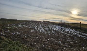 Działka rolna Las Stocki