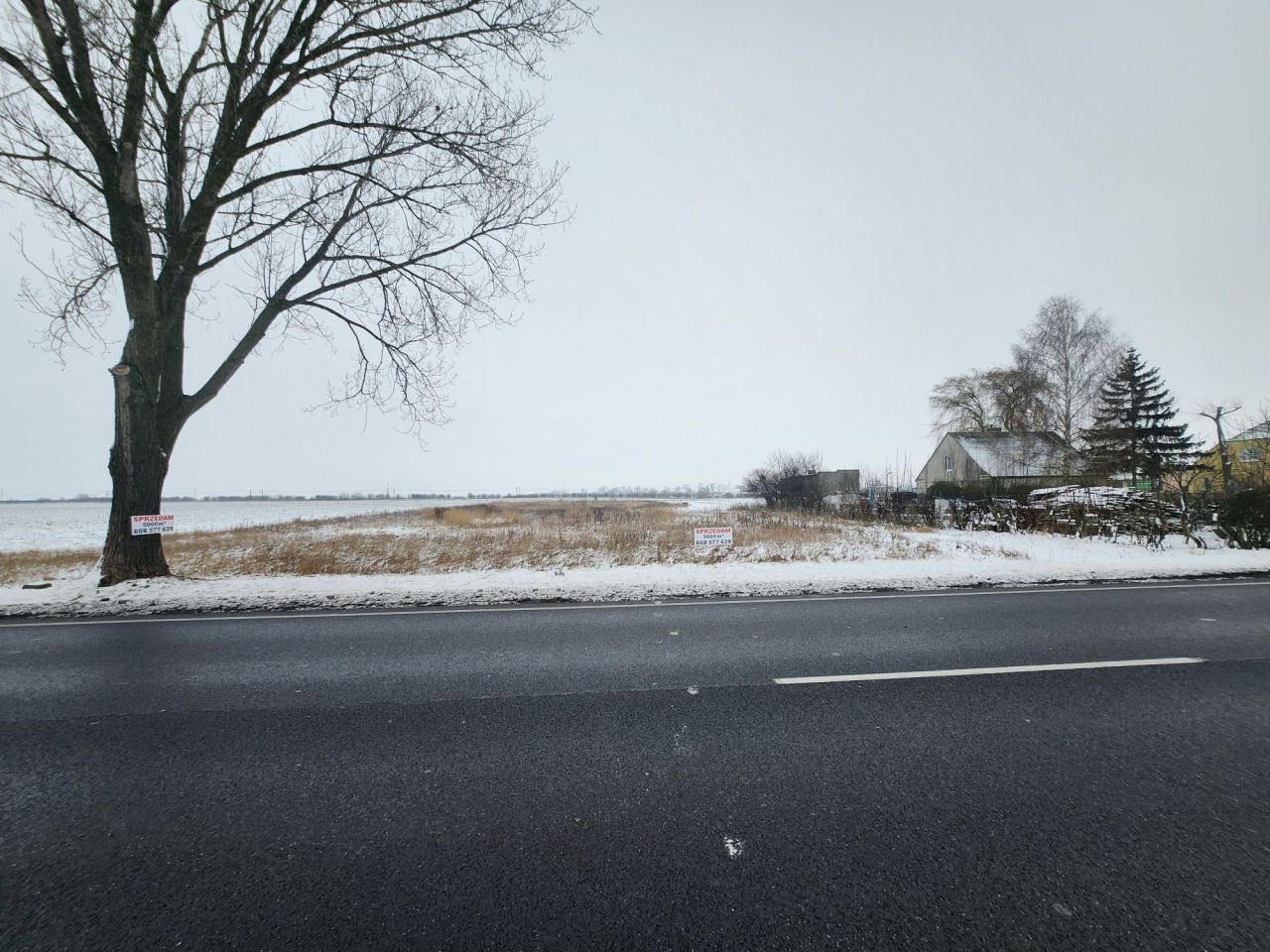 Działka rolno-budowlana Brzoza. Zdjęcie 8