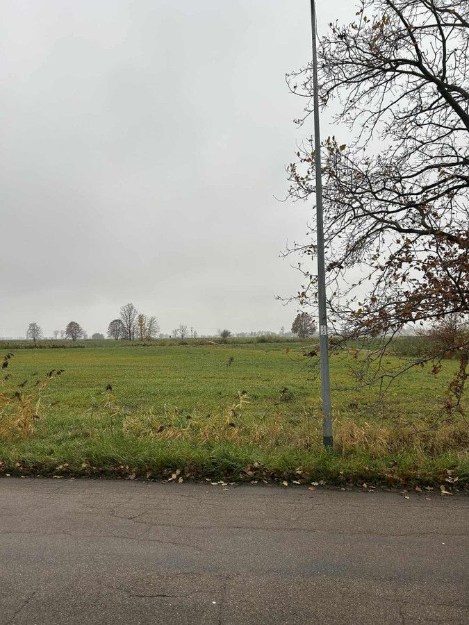 Działka rolno-budowlana Gronowo Elbląskie, ul. Elbląska. Zdjęcie 5