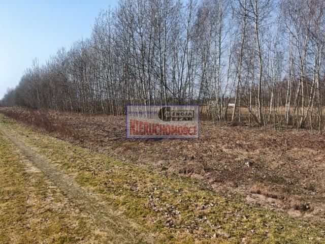 Działka budowlana Grabina. Zdjęcie 4