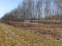 Działka budowlana Grabina. Zdjęcie 4