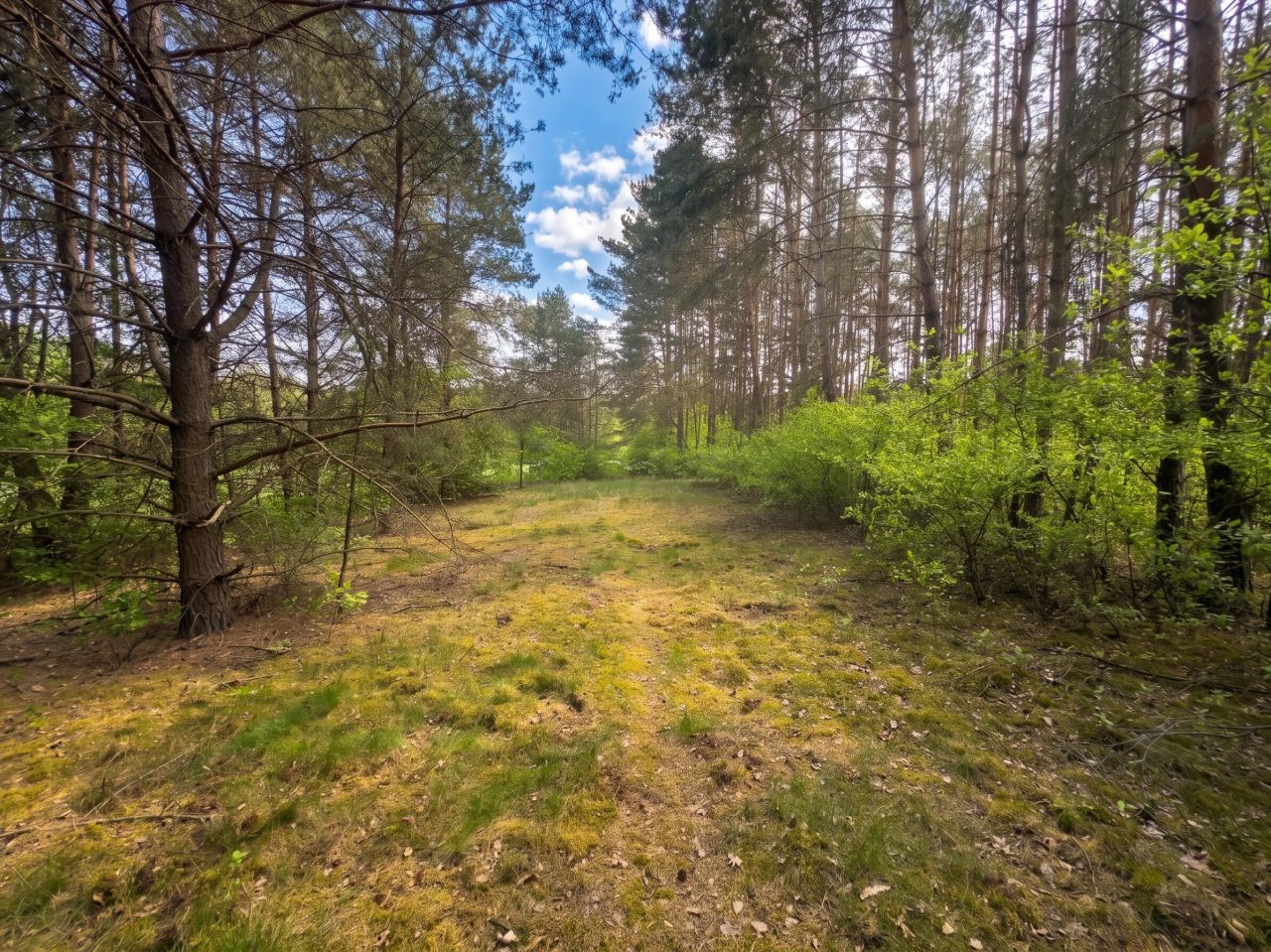Działka rekreacyjna Wieprzeniec, 4. Zdjęcie 9