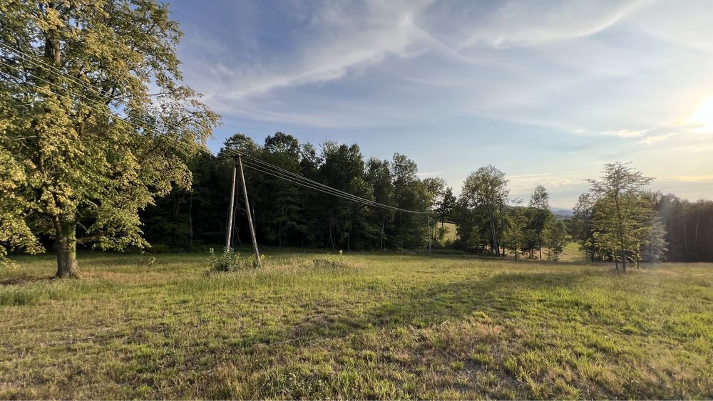 Działka rekreacyjna Piaski-Drużków. Zdjęcie 7
