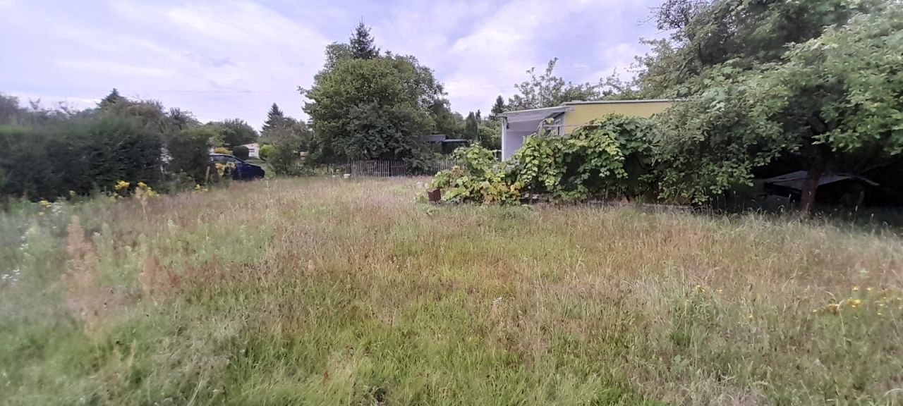 Działka rod Zielona Góra Ochla, ul. Ochla-Kożuchowska. Zdjęcie 14