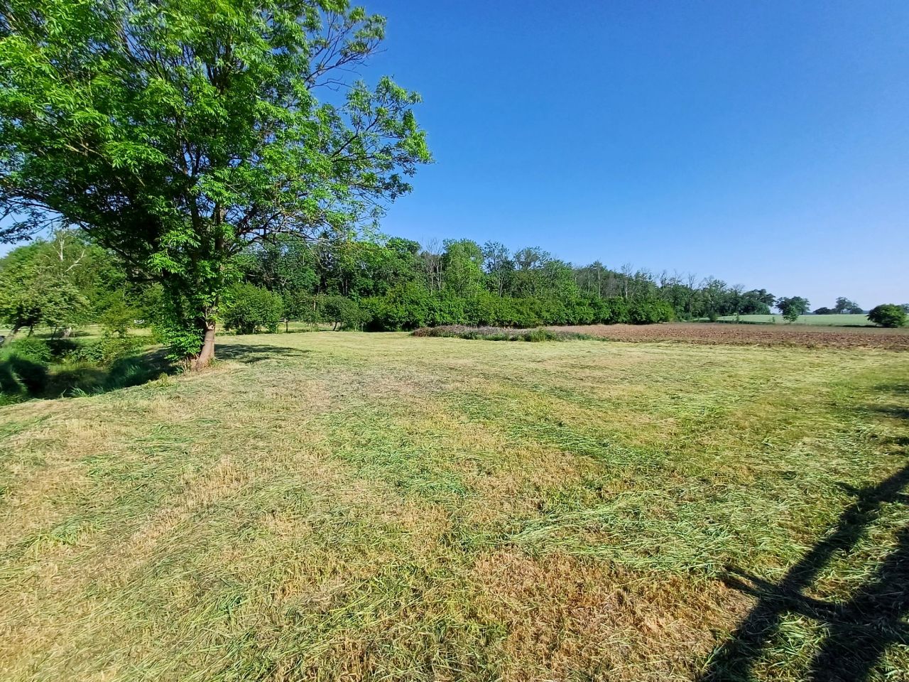 Działka budowlana Młodasko, ul. Kaźmierska. Zdjęcie 17