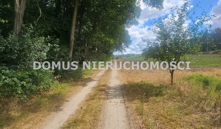 Działka leśna Nagawki