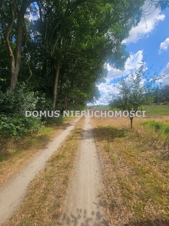 Działka leśna Nagawki. Zdjęcie 1