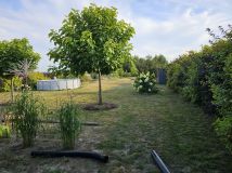 Działka rolna Szadek