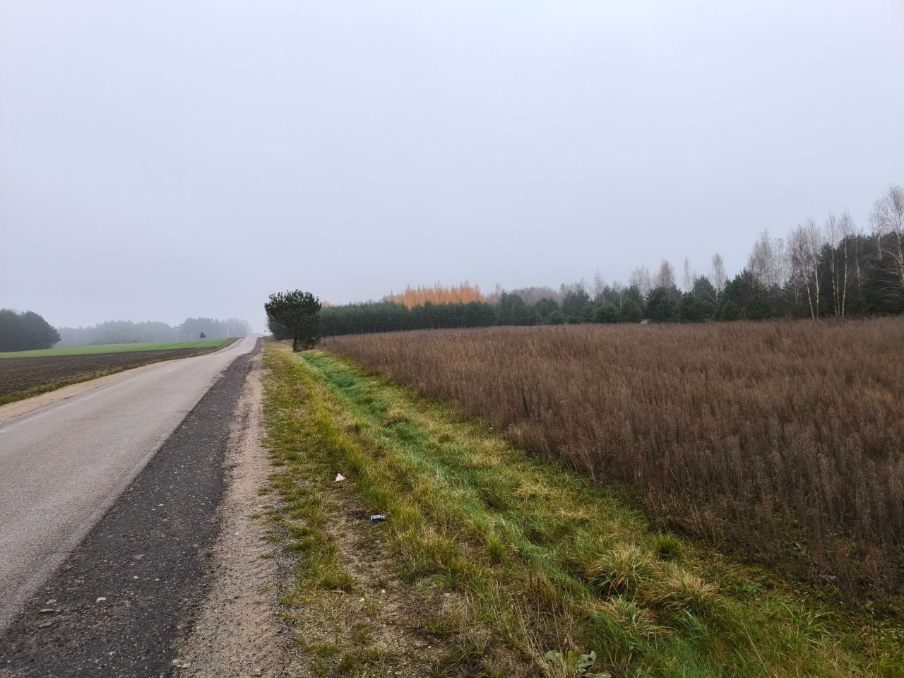 Działka budowlana Józefowo. Zdjęcie 1