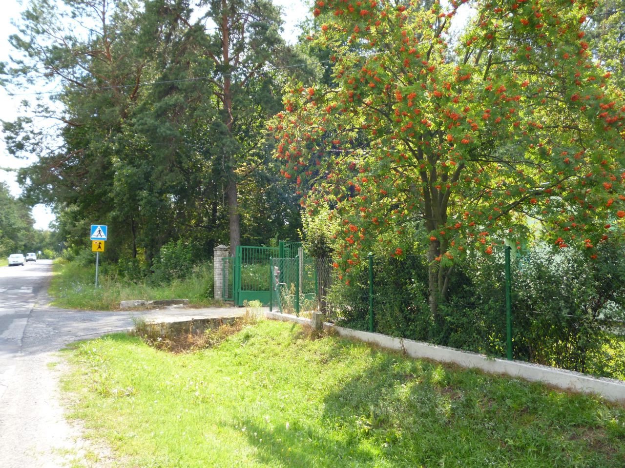 Działka leśna Kazimierz Dolny Dąbrówka, Dąbrówka. Zdjęcie 5