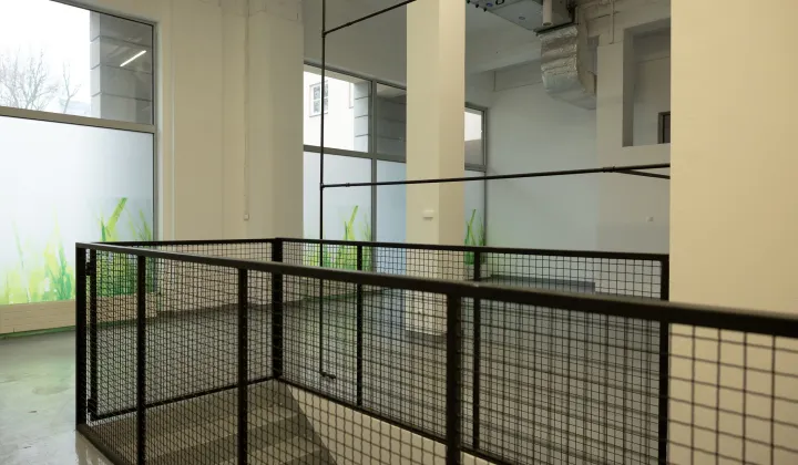 Lokal Warszawa Śródmieście, ul. Elektoralna