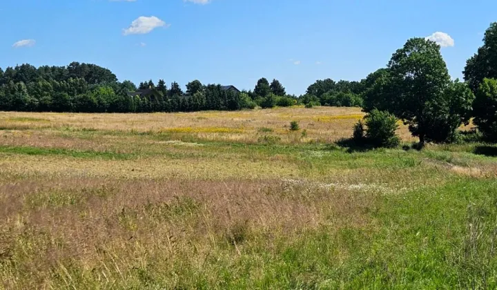 Działka budowlana Kołczewo, ul. Wolności