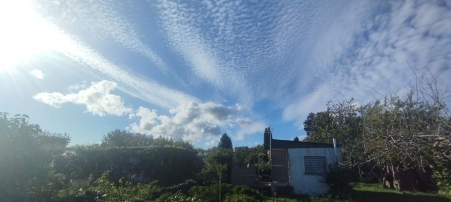 Działka rod Gdynia Obłuże, ul. Zielona. Zdjęcie 3