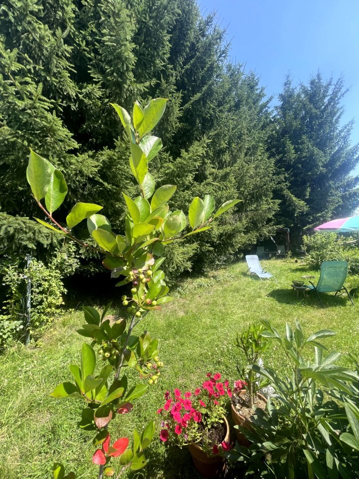 dom wolnostojący, 4 pokoje Pasiecznik. Zdjęcie 7