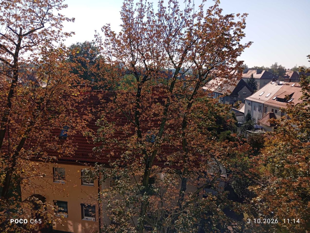 Mieszkanie 3-pokojowe Zabrze Centrum, ul. 1 Maja. Zdjęcie 8
