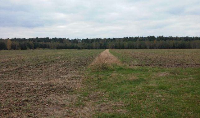 Działka rolna Liciążna. Zdjęcie 2