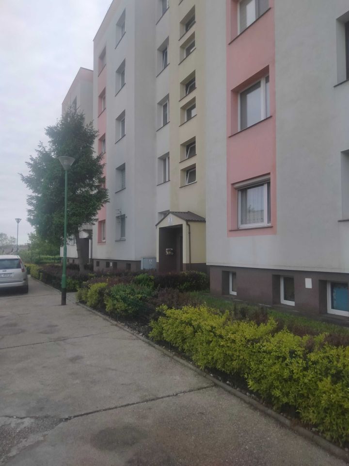 Mieszkanie 1-pokojowe Legnica Zosinek, ul. Grodzieńska. Zdjęcie 1