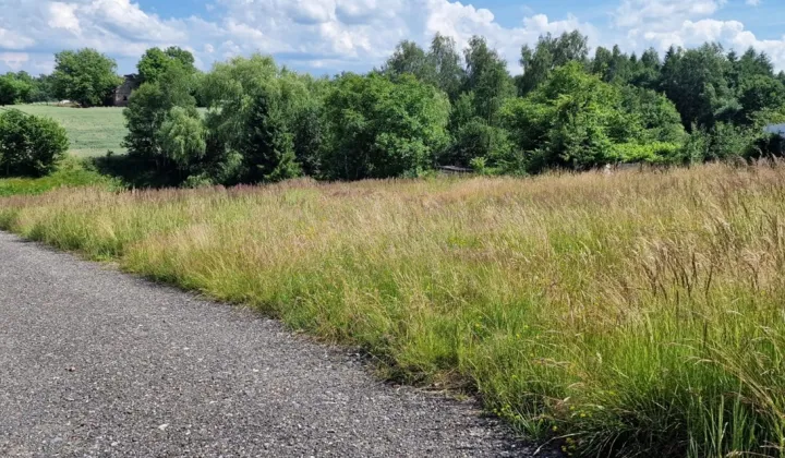 Działka budowlana Jastrzębie-Zdrój Ruptawa, ul. Żurawia
