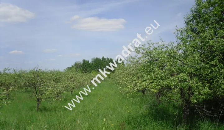 Działka budowlana Baszkówka