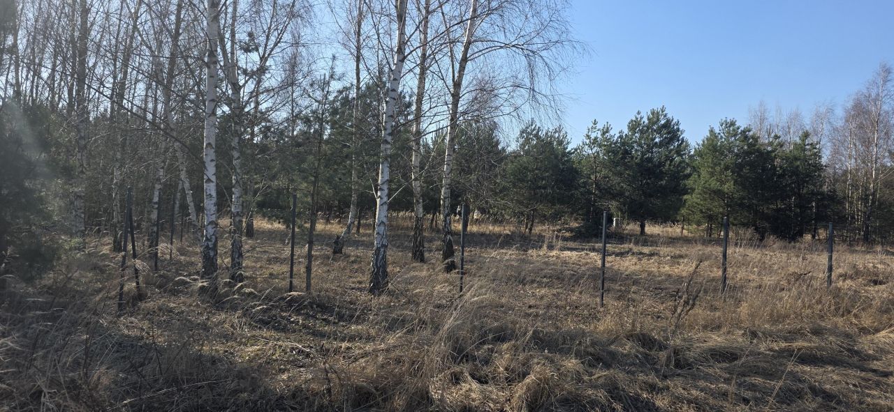 Działka budowlana Sokolniki-Las, Sierpecka. Zdjęcie 2