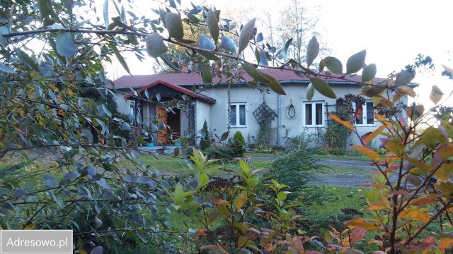 dom wolnostojący Sade Budy, ul. Królowej Marysieńki. Zdjęcie 1