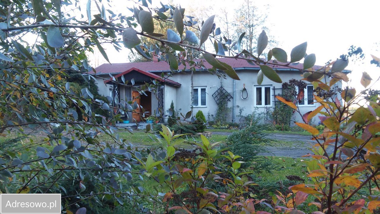 dom wolnostojący Sade Budy, ul. Królowej Marysieńki