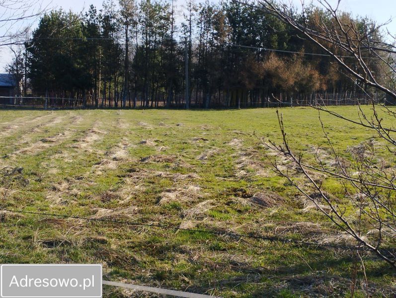 Działka budowlana Zofinin. Zdjęcie 5